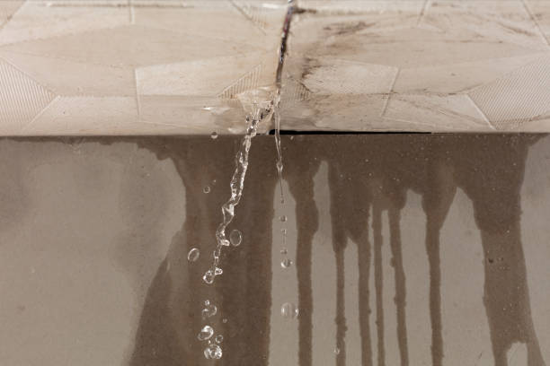 Professional Water Damage Repair technician working in Mantua, UT